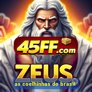 as coelhinhas do brasil